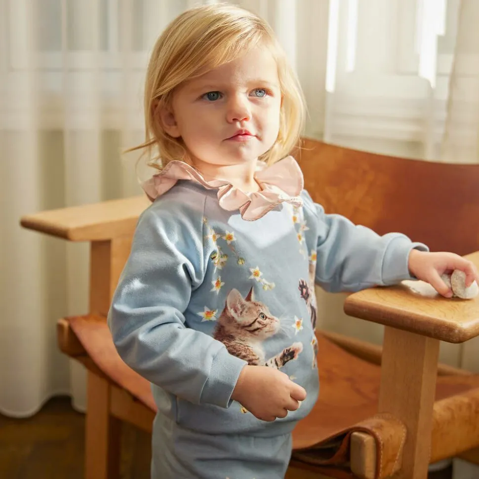 Girls Blue Kitten Cotton Sweatshirt