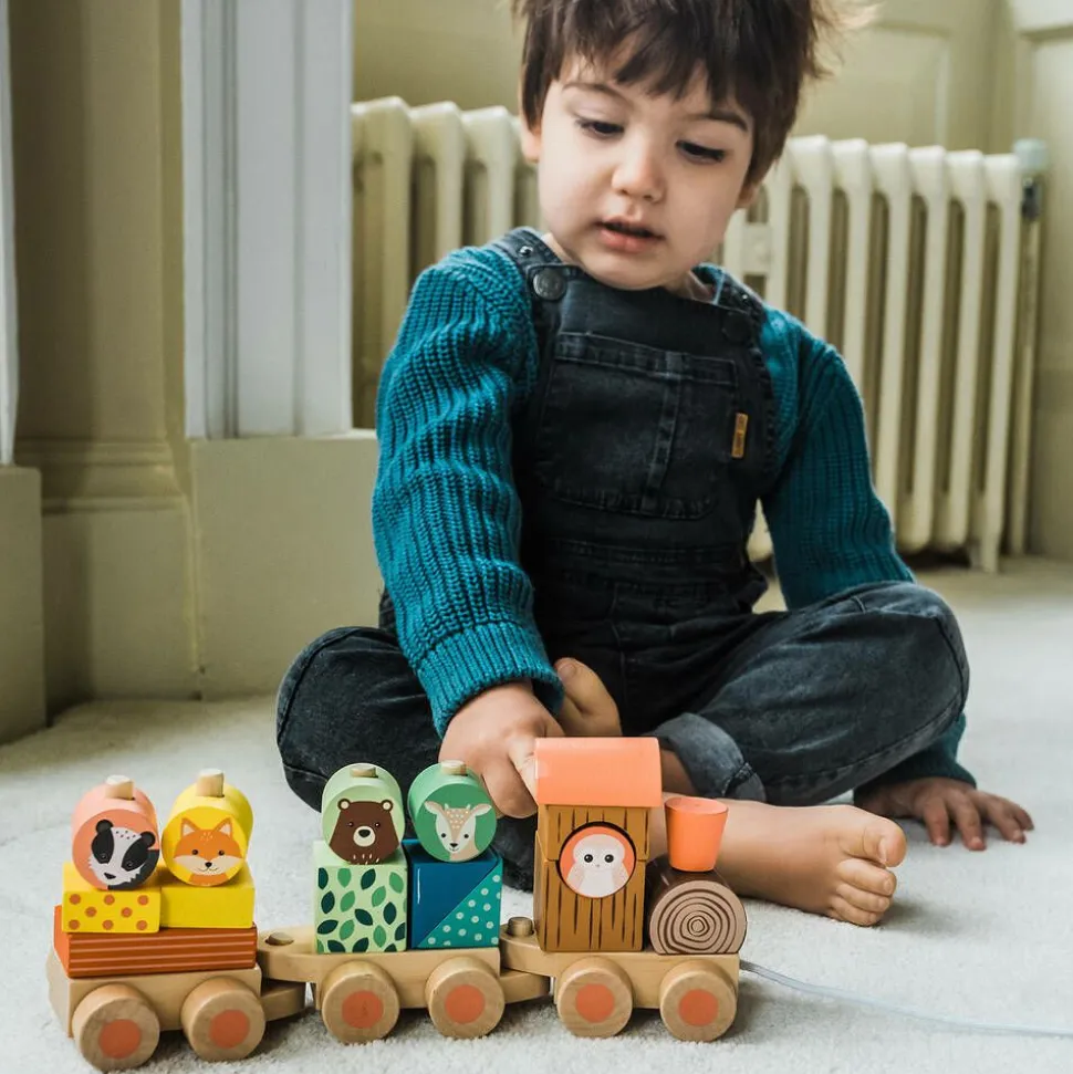 Woodland Animal Puzzle Train Toy (26cm)